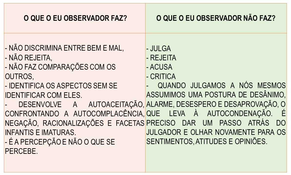 EU OBSERVADOR 3 (2)